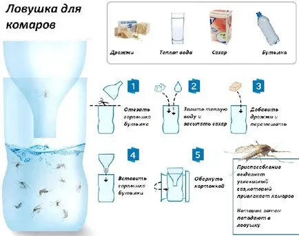 Csapdák a szúnyogok egy műanyag palack kezével