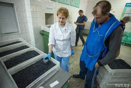 Mi elkobozzák áfonya és a rendőrség az emberek nyugtat