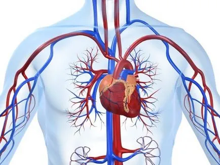 cauze stenoza mitrala, diagnostic și tratament