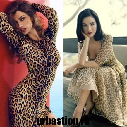 Rochie leopard la modă în fotografie ce să poarte cu modelul și cu printuri de animale și culorile din 2017