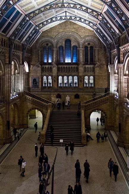 Muzeul de Istorie Naturala din Londra (Muzeul de istorie naturala) - istoria creației și expoziții