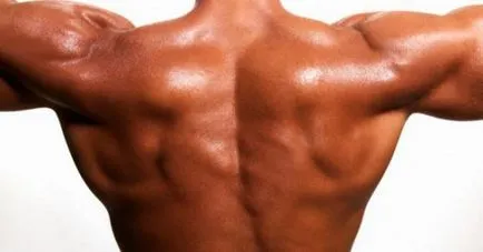мускули мъже, които привличат жените