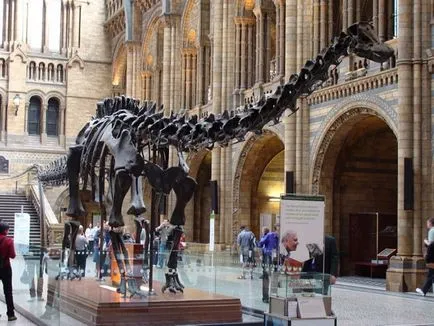 Muzeul de Istorie Naturala din Londra (Muzeul de istorie naturala) - istoria creației și expoziții
