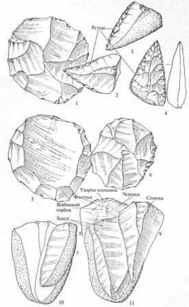 Prelucrarea și silex semne ale unei diviziuni artificiale - Arheologie din Ucraina - Zaliznyak ll