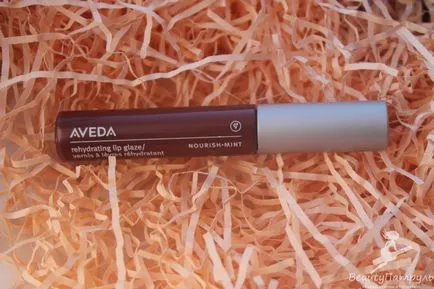 Преглед на блясък за устни Aveda подхранват-мента рехидратиране Устни на нашия уебсайт