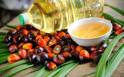 Palmier, măsline și ulei de floarea-soarelui, în unele cazuri, devine otravă