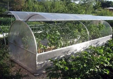 Greenhouse - пеперуда - с ръцете си все още на създаване строителство