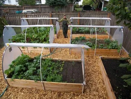 Greenhouse pillangó 2 és 4m polikarbonát, fényképek, rajzok, áttekintésre, hogyan lehet a saját kezét, fotó,