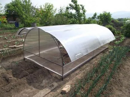 Greenhouse 