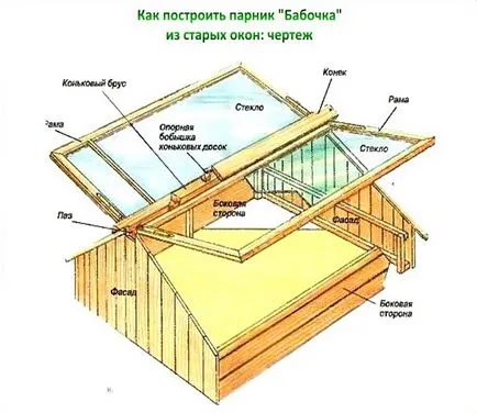 Greenhouse pillangó 2 és 4m polikarbonát, fényképek, rajzok, áttekintésre, hogyan lehet a saját kezét, fotó,