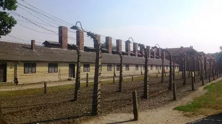 Călătoria în orașul Auschwitz, cu o mie de cicatrici