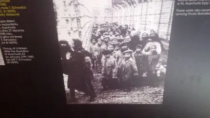 Călătoria în orașul Auschwitz, cu o mie de cicatrici