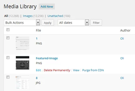 Ghidul complet Pentru a lucra cu imagini de pe WordPress