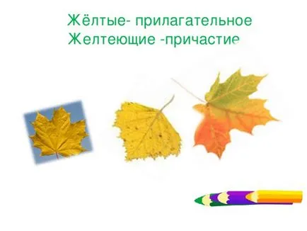 Представяне на българския език - общението като специална форма на глагола - българските езикови курсове