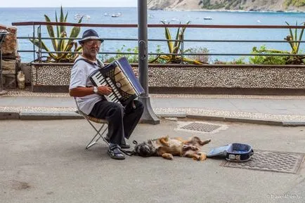 Öt mesés városok Cinque Terre