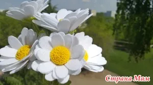 Daisies de pâslă cu mâinile lor, master-class - Artizanat - acasă Mamele