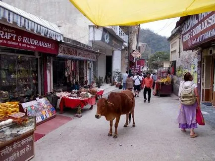 Rishikesh (India) - jóga, a meditáció, ashram, látványosság, független utazási