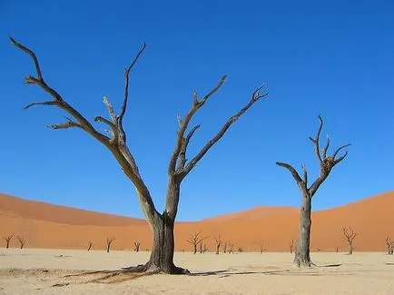 Cele mai frumoase dune de deșert și din lume