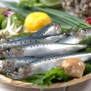 beneficii Sardina si Harms, valoarea nutritivă, compoziția, valoarea calorică a sardine