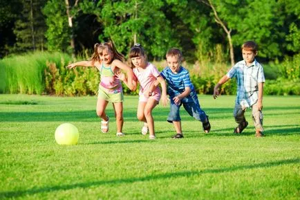 Magok gyep, hogyan kell kiválasztani a megfelelő keverék összetétele, a növény gyep