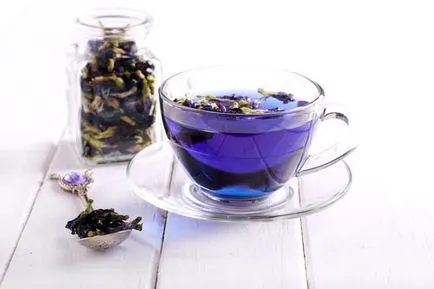 Синята чай от Тайланд полезни свойства и противопоказания