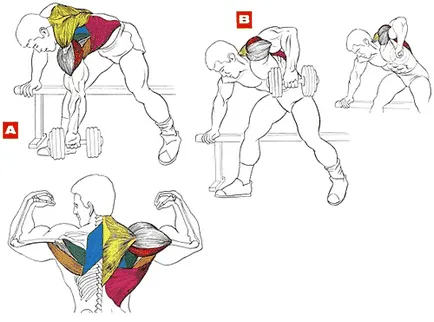 exerciții de latissimus dorsi