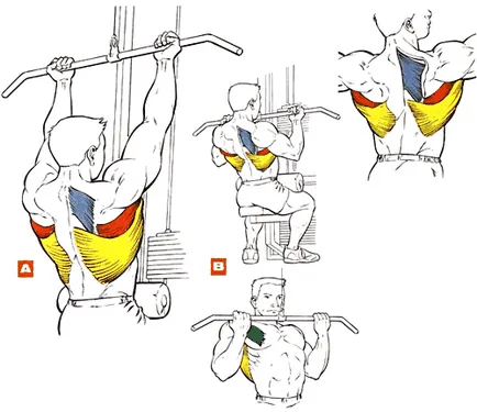 Latissimus гръбен упражнения