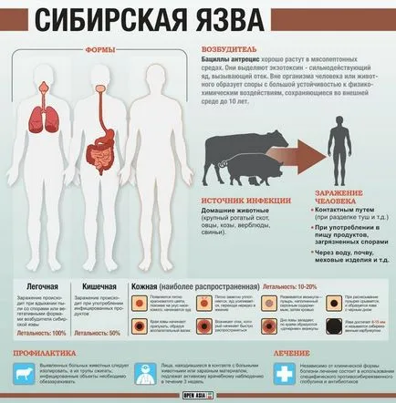 Anthrax (fotografii) - Simptome si tratament, prevenire