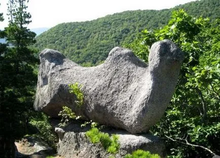 Rocks като животни