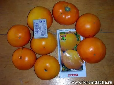 Varietatea de tomate - curmale - unele comentarii