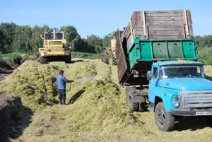 Tehnologie alimentară și preforme însilozare