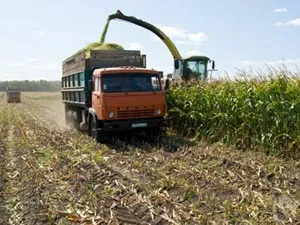 Food Technology előforma és a szilázs