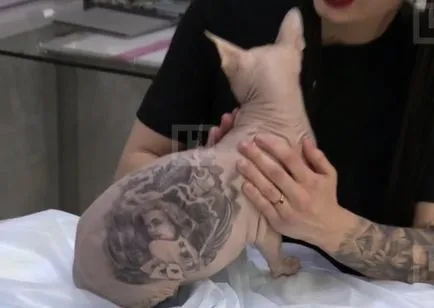Tattoo macska Jekatyerinburgban varázsló szerezte szfinx tetoválás
