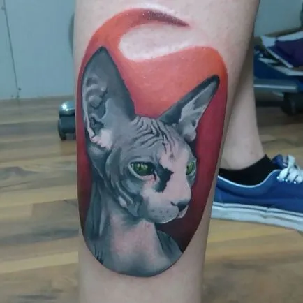 Tatuaj valoare Sphinx tatuaje, fotografii, schițe