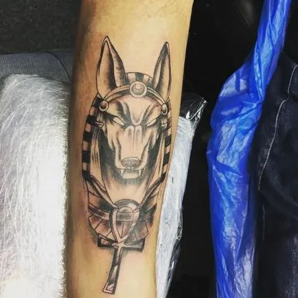 Tatuaj valoare Sphinx tatuaje, fotografii, schițe