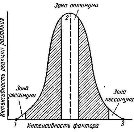 Три кардинални точки