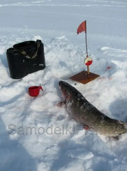 Избор на място за щука от леда - домашно риболов с ръцете си