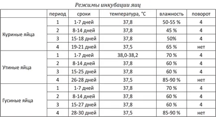 Отнемане на гъски в инкубатор в домашно видео околната среда