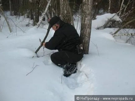 Проследяване на дива свиня