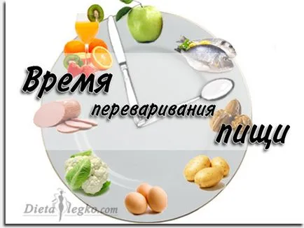 храносмилането в стомаха таблицата на човешкото време, гастроентерология - Лечение на стомашно-чревния тракт