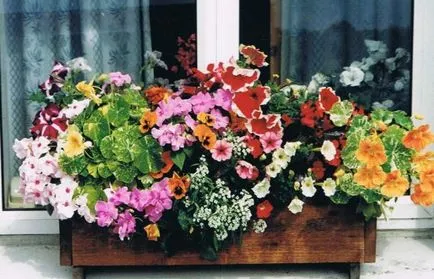 Virágládák az erkélyen