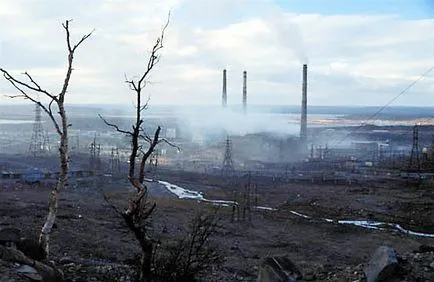 Poluarea omului de pădure - problema, sursele și consecințele poluării pădurilor