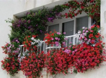 jardiniere pe balcon