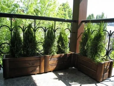 jardiniere pe balcon