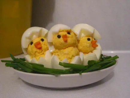 Snack a tojás - csirkék