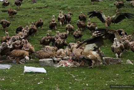 ritual straniu de „îngropare ceresc“ în Tibet, umkra