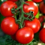 Caracteristici de tomate Cio-Cio-san