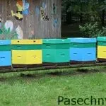 Характеристики и недостатъци на пчелни кошери от полиуретан и полистирен, както и прегледи на пчеларите