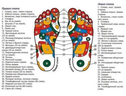 Beneficiile masajului piciorului reflex cu masaj, de sănătate ca un efort de voință