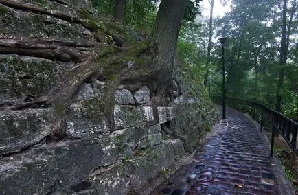 15 fotografii frumoase ce înseamnă să respecte natura